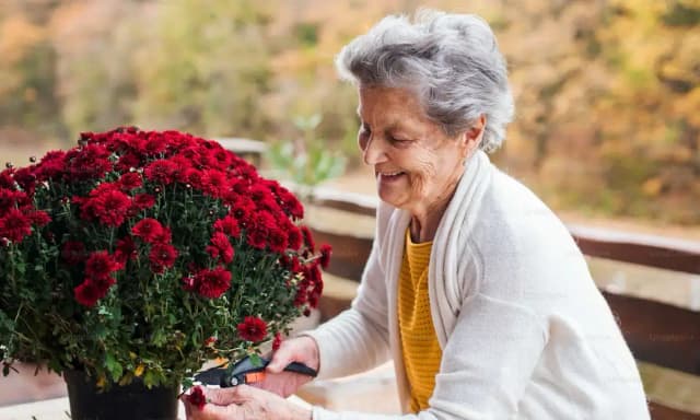 Image of a lady next to red roses.